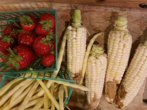 Strawberries, corn, yellow Roc d'Or bush beans