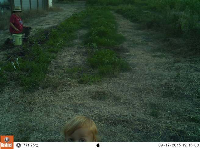 Hah, I look like I can't stand up without the help of the bucket #gettingold