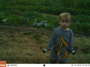 Moving garden lights around