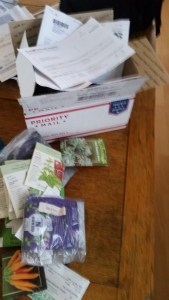 20150926_somefallseedstoplant