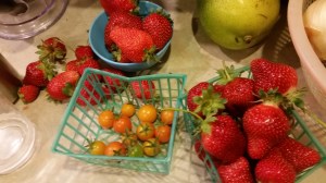 Sept 30, 2015 harvest